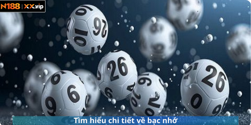 Tìm hiểu chi tiết về bạc nhớ