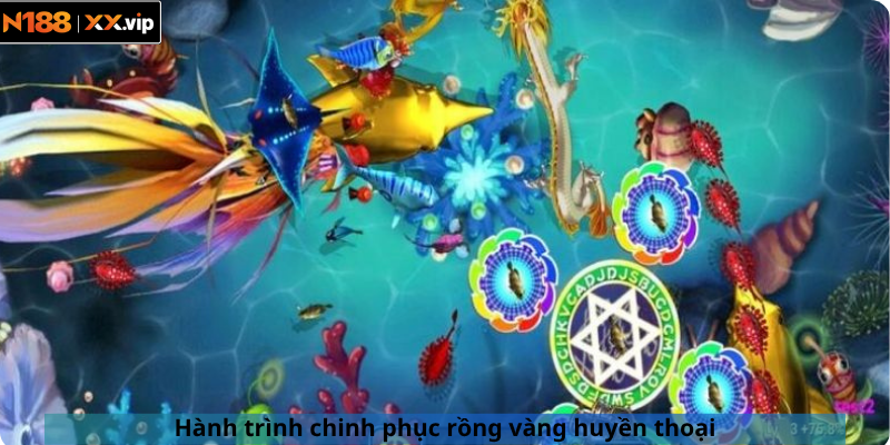 Hành trình chinh phục rồng vàng huyền thoại